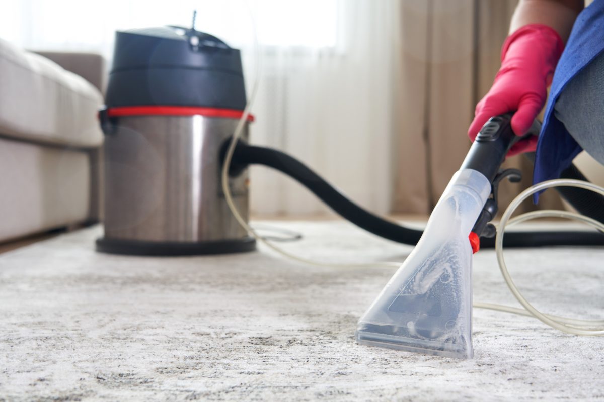 Professional Carpet Cleaning Services Sparkle in Racine