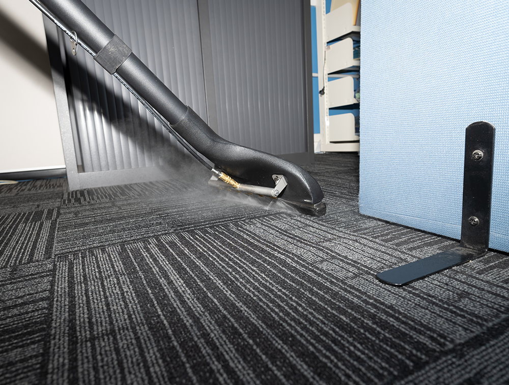 carpet cleaning Tile Floor Cleaning