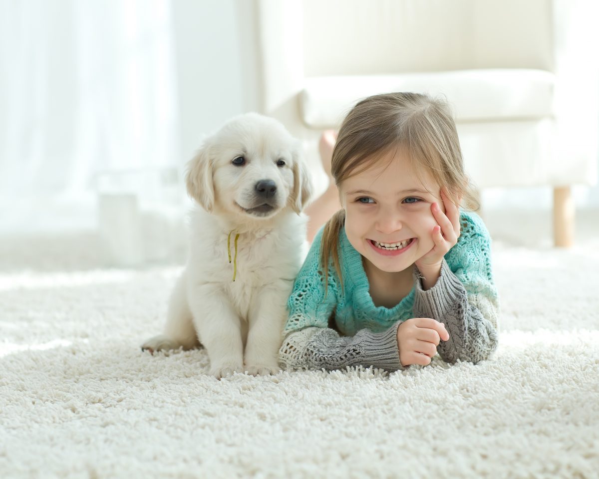 How to Dry Carpet After Cleaning Expert Tips for Racine, WI